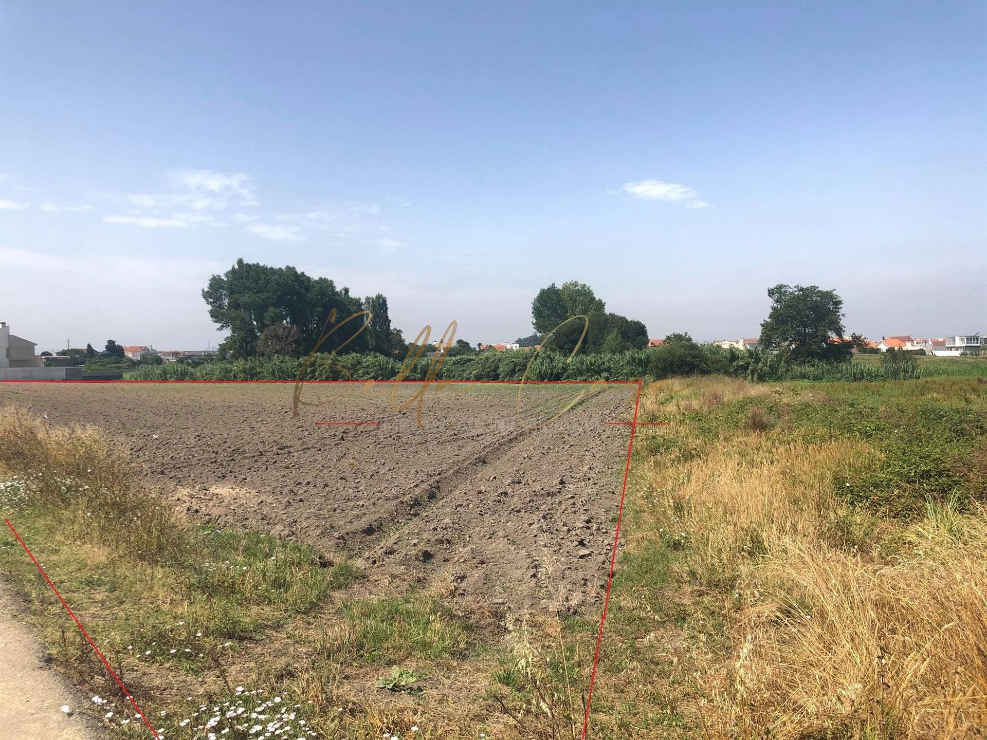 Terreno Para Construção  Venda em São Bernardo,Aveiro