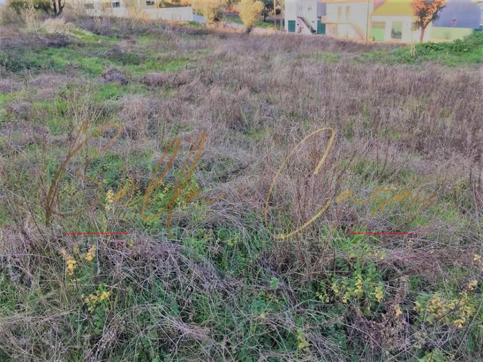 Terreno Urbano  Venda em Oliveira do Bairro,Oliveira do Bairro