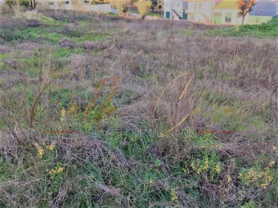 Terreno Urbano  Venda em Oliveira do Bairro,Oliveira do Bairro