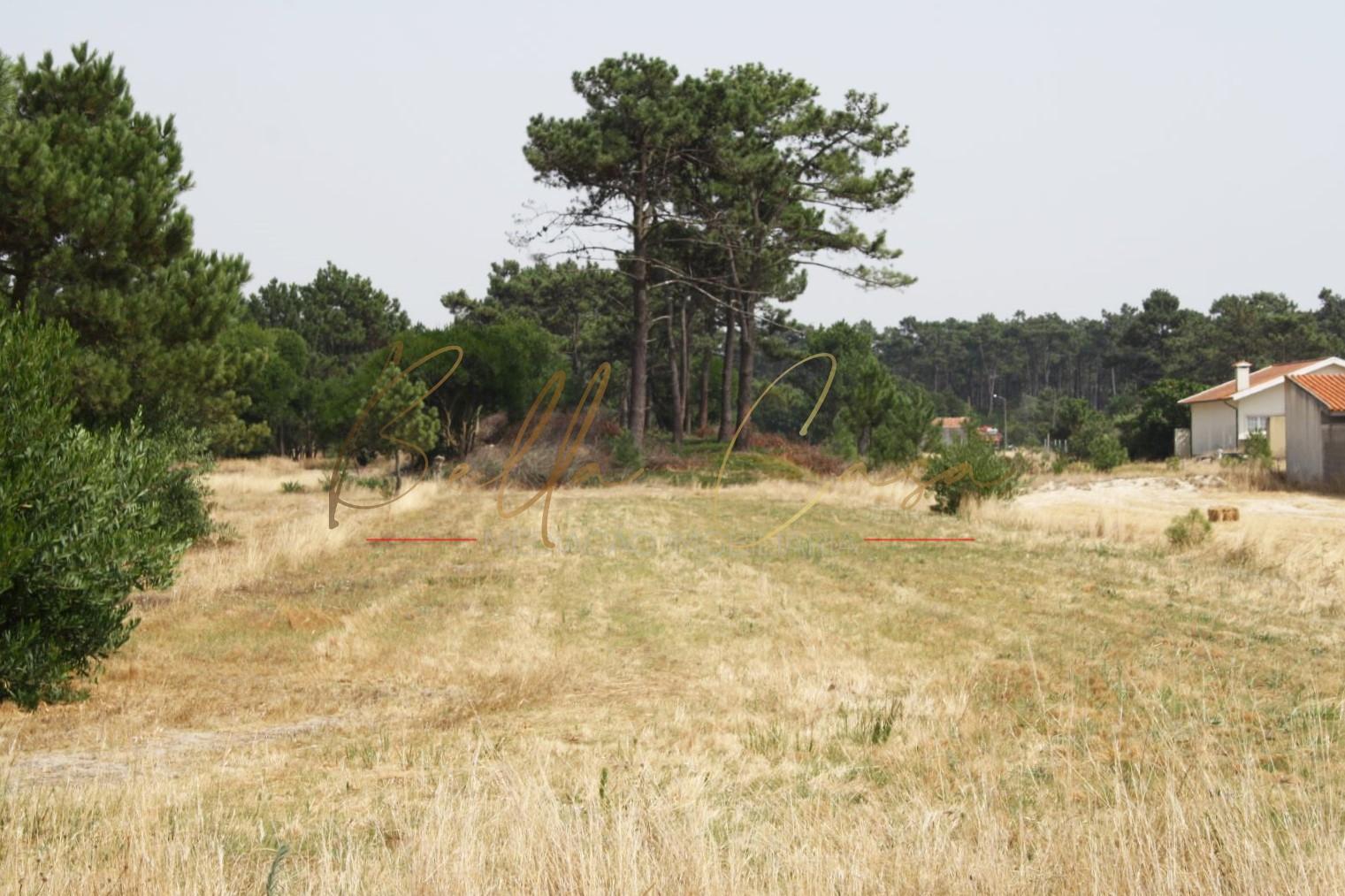 Terreno Para Construção  Venda em Gafanha da Boa Hora,Vagos