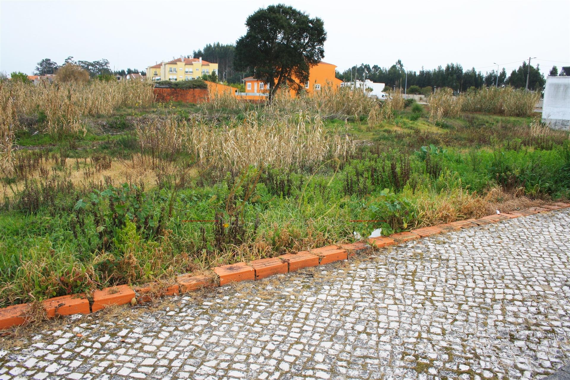 Terreno Urbano  Venda em Vagos e Santo António,Vagos