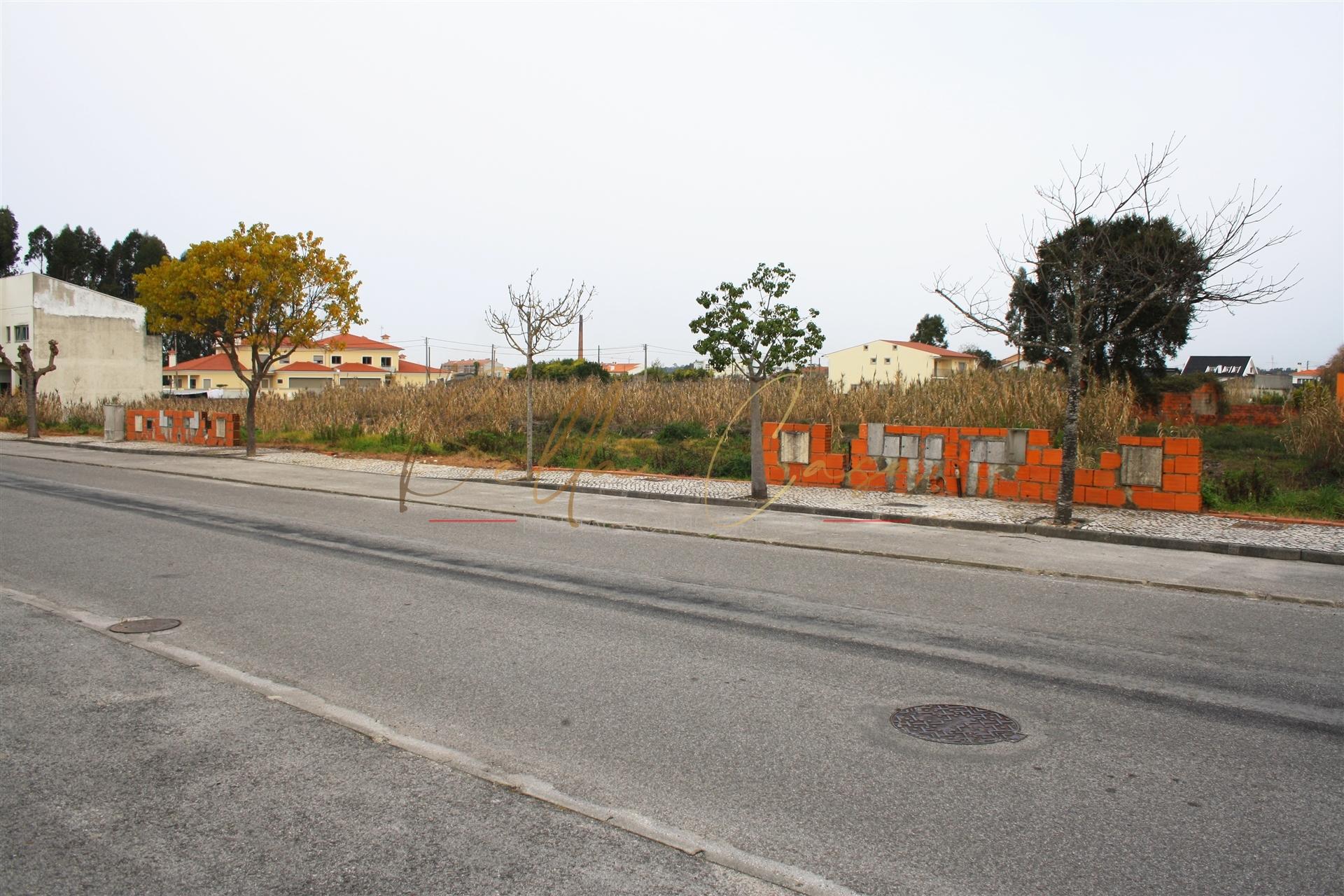 Terreno Urbano  Venda em Vagos e Santo António,Vagos