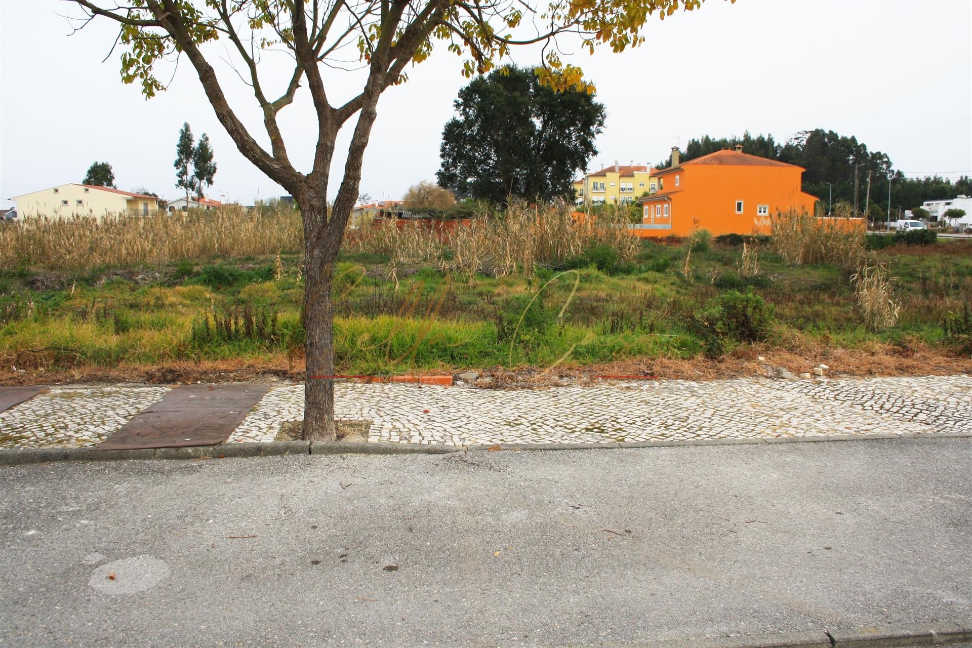 Terreno Urbano  Venda em Vagos e Santo António,Vagos