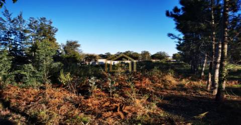 Terreno urbano junto praia (electricidade,agua,saneamento) construir em 933m2, M. Grande Portugal