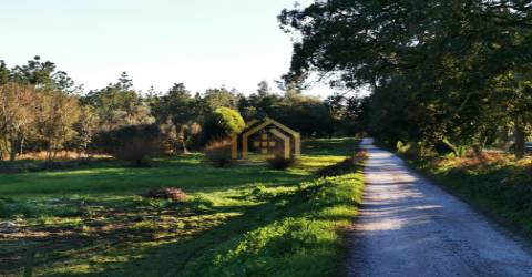 Terreno urbano junto praia (electricidade,agua,saneamento) construir em 933m2, M. Grande Portugal