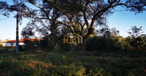 Terreno urbano junto praia (electricidade,agua,saneamento) construir em 933m2, M. Grande Portugal