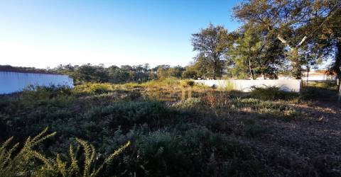 Terreno urbano junto praia (electricidade,agua,saneamento) construir em 933m2, M. Grande Portugal