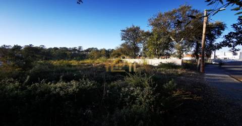 Terreno urbano junto praia (electricidade,agua,saneamento) construir em 933m2, M. Grande Portugal