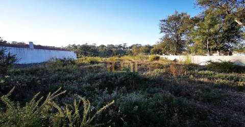 Terreno urbano junto praia (electricidade,agua,saneamento) construir em 933m2, M. Grande Portugal