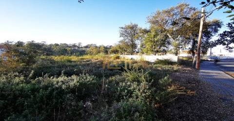 Terreno urbano junto praia (electricidade,agua,saneamento) construir em 933m2, M. Grande Portugal