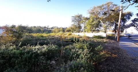 Terreno urbano junto praia (electricidade,agua,saneamento) construir em 933m2, M. Grande Portugal
