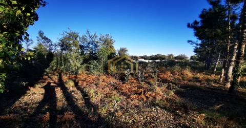 Terreno urbano junto praia (electricidade,agua,saneamento) construir em 933m2, M. Grande Portugal