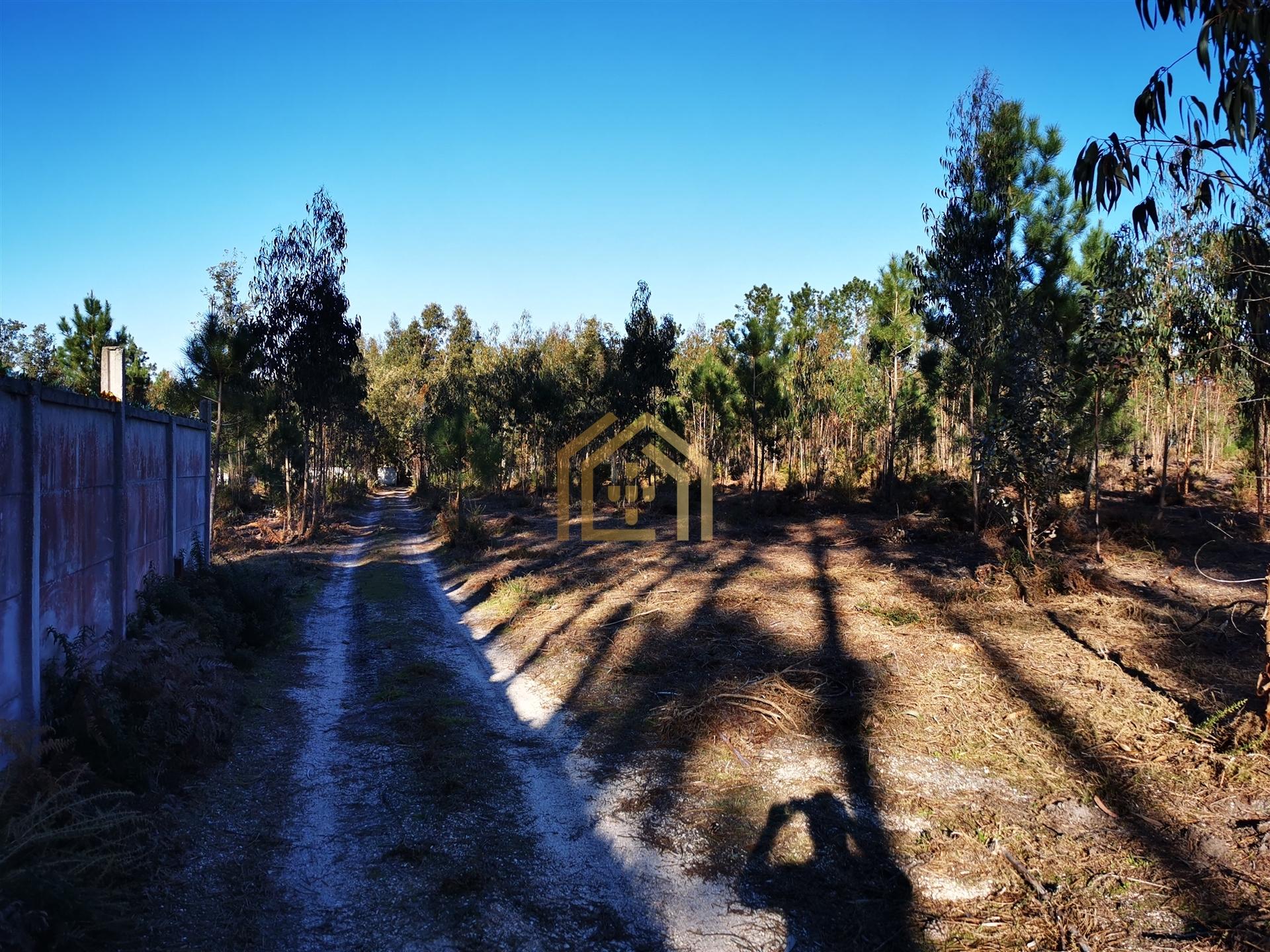 Terreno 22800m2, constrói em 3693 metros junto praia e estrada (eletricidade,água,esgotos) Portugal