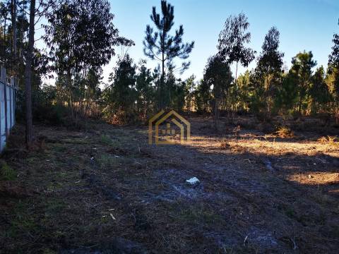 Terreno 22800m2, constrói em 3693 metros junto praia e estrada (eletricidade,água,esgotos) Portugal