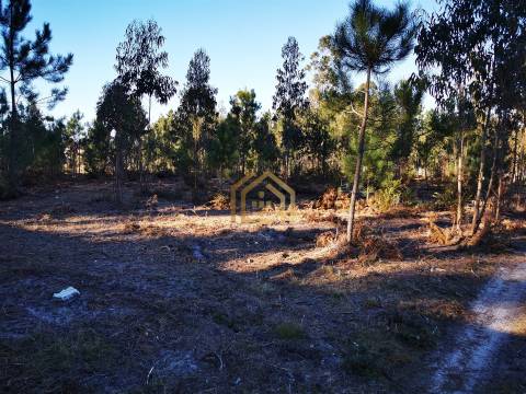 Terreno 22800m2, constrói em 3693 metros junto praia e estrada (eletricidade,água,esgotos) Portugal