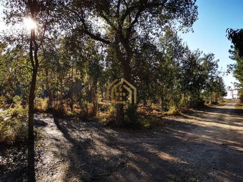 Terreno 22800m2, constrói em 3693 metros junto praia e estrada (eletricidade,água,esgotos) Portugal
