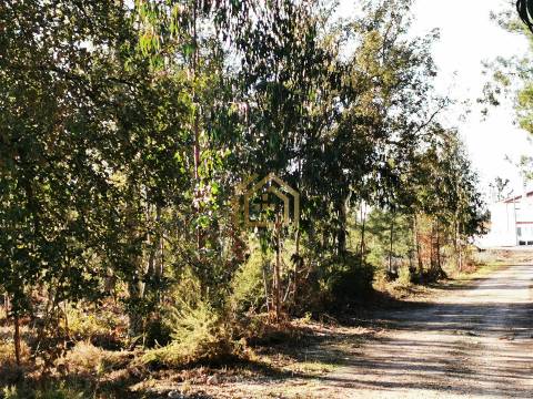 Terreno 22800m2, constrói em 3693 metros junto praia e estrada (eletricidade,água,esgotos) Portugal