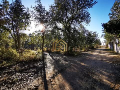 Terreno 22800m2, constrói em 3693 metros junto praia e estrada (eletricidade,água,esgotos) Portugal