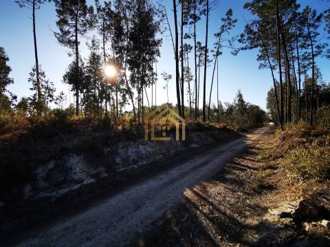 Terreno 22800m2, constrói em 3693 metros junto praia e estrada (eletricidade,água,esgotos) Portugal