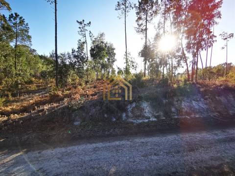 Terreno 22800m2, constrói em 3693 metros junto praia e estrada (eletricidade,água,esgotos) Portugal