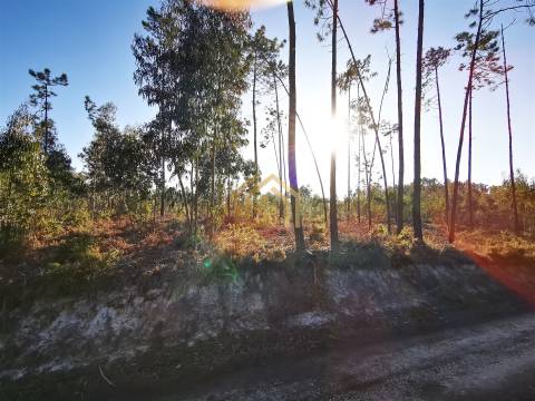 Terreno 22800m2, constrói em 3693 metros junto praia e estrada (eletricidade,água,esgotos) Portugal