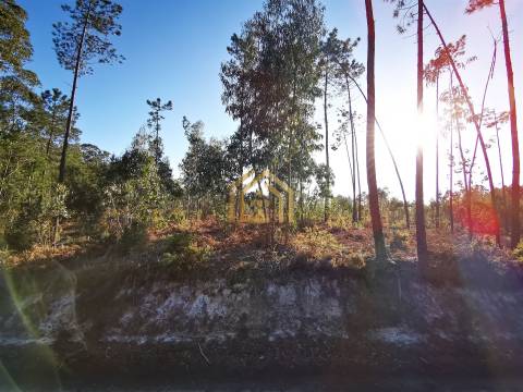 Terreno 22800m2, constrói em 3693 metros junto praia e estrada (eletricidade,água,esgotos) Portugal