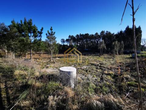 Terreno 22800m2, constrói em 3693 metros junto praia e estrada (eletricidade,água,esgotos) Portugal