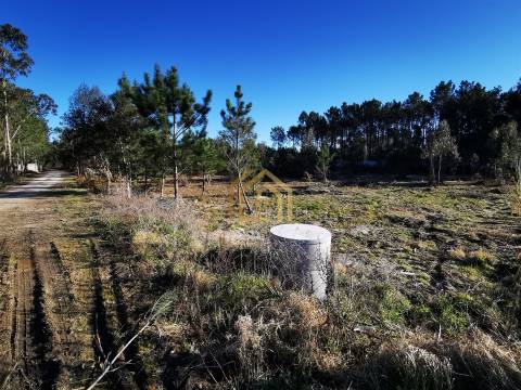 Terreno 22800m2, constrói em 3693 metros junto praia e estrada (eletricidade,água,esgotos) Portugal