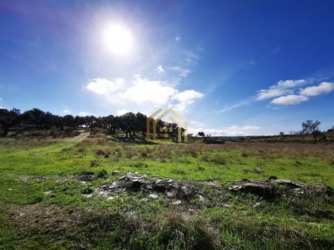 Portugal, Rosmaninhal 56500 m2 , àgua abundante,  2000m2 construção