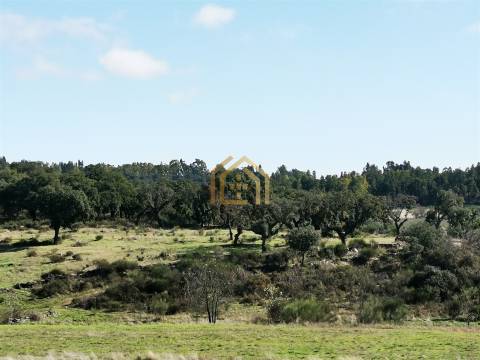 Portugal, Rosmaninhal 56500 m2 , àgua abundante,  2000m2 construção