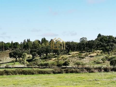 Portugal, Rosmaninhal 56500 m2 , àgua abundante,  2000m2 construção
