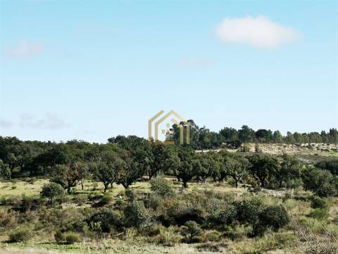 Portugal, Rosmaninhal 56500 m2 , àgua abundante,  2000m2 construção