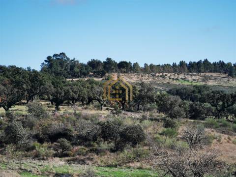 Portugal, Rosmaninhal 56500 m2 , àgua abundante,  2000m2 construção