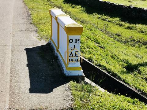 Portugal, Rosmaninhal 56500 m2 , àgua abundante,  2000m2 construção