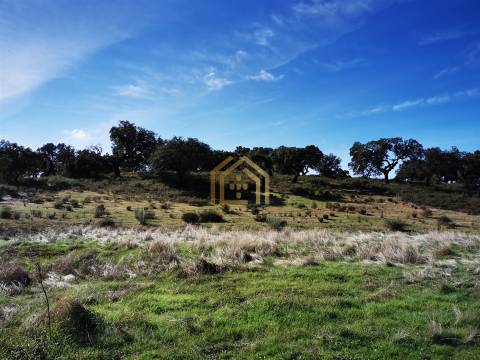 Portugal, Rosmaninhal 56500 m2 , àgua abundante,  2000m2 construção