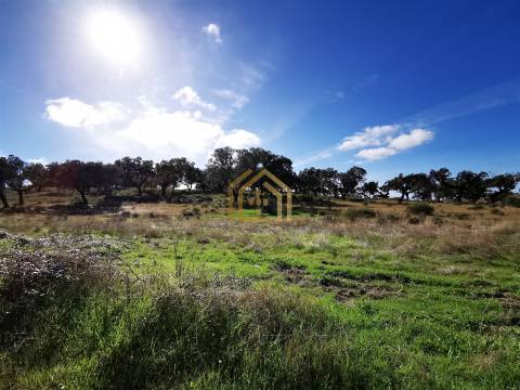 Portugal, Rosmaninhal 56500 m2 , àgua abundante,  2000m2 construção