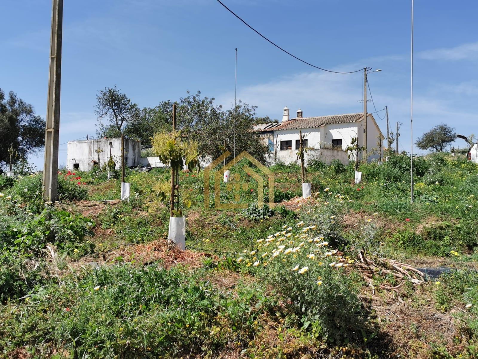 terreno com 157959 m2 com 2 moradias, água abundante localizadas em zona calma e tranquila com vista