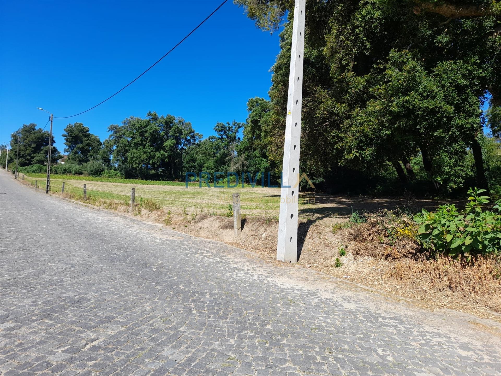 Terreno Misto  Venda em Areias, Sequeiró, Lama e Palmeira,Santo Tirso