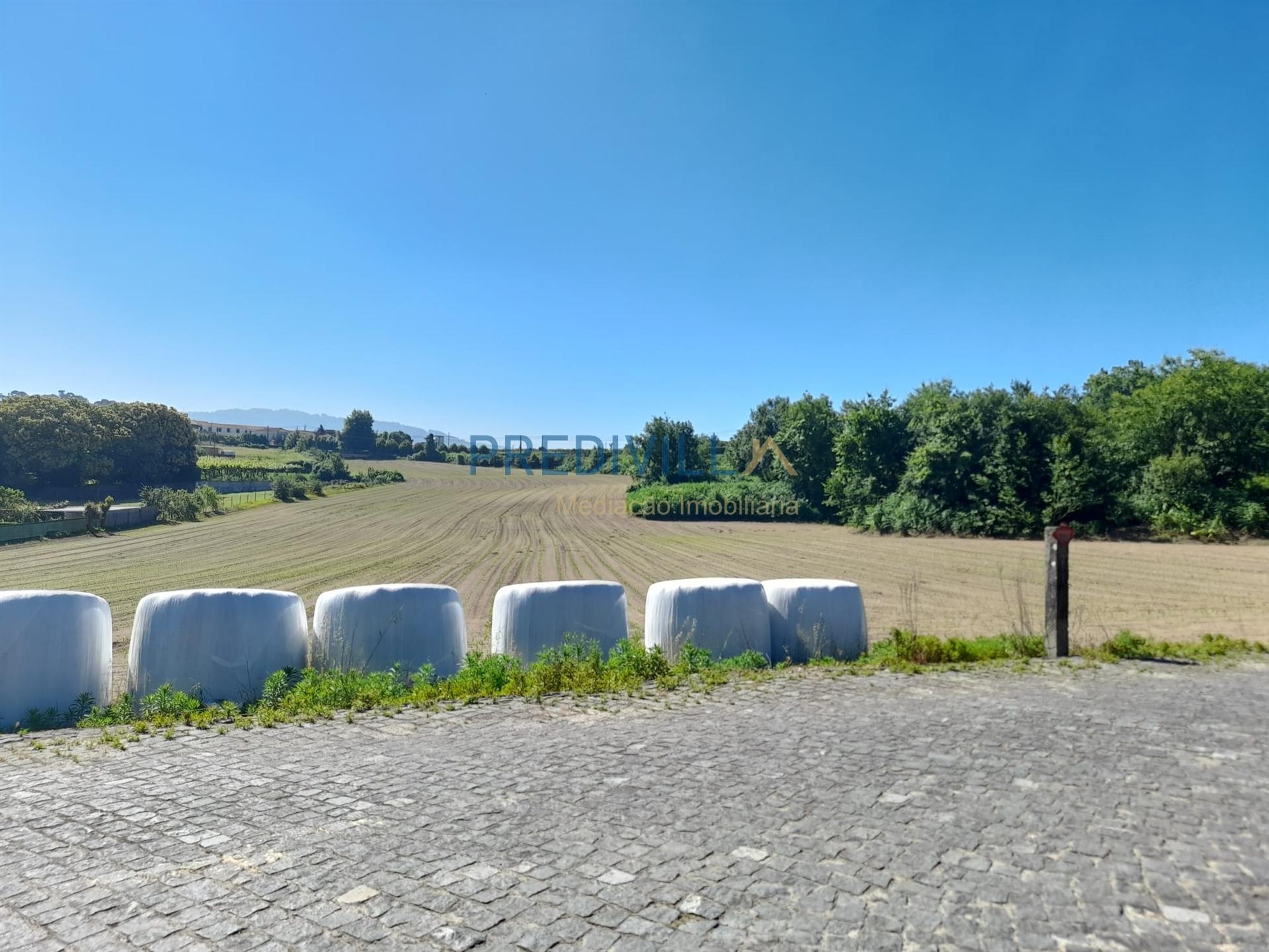 Terreno Misto  Venda em Areias, Sequeiró, Lama e Palmeira,Santo Tirso