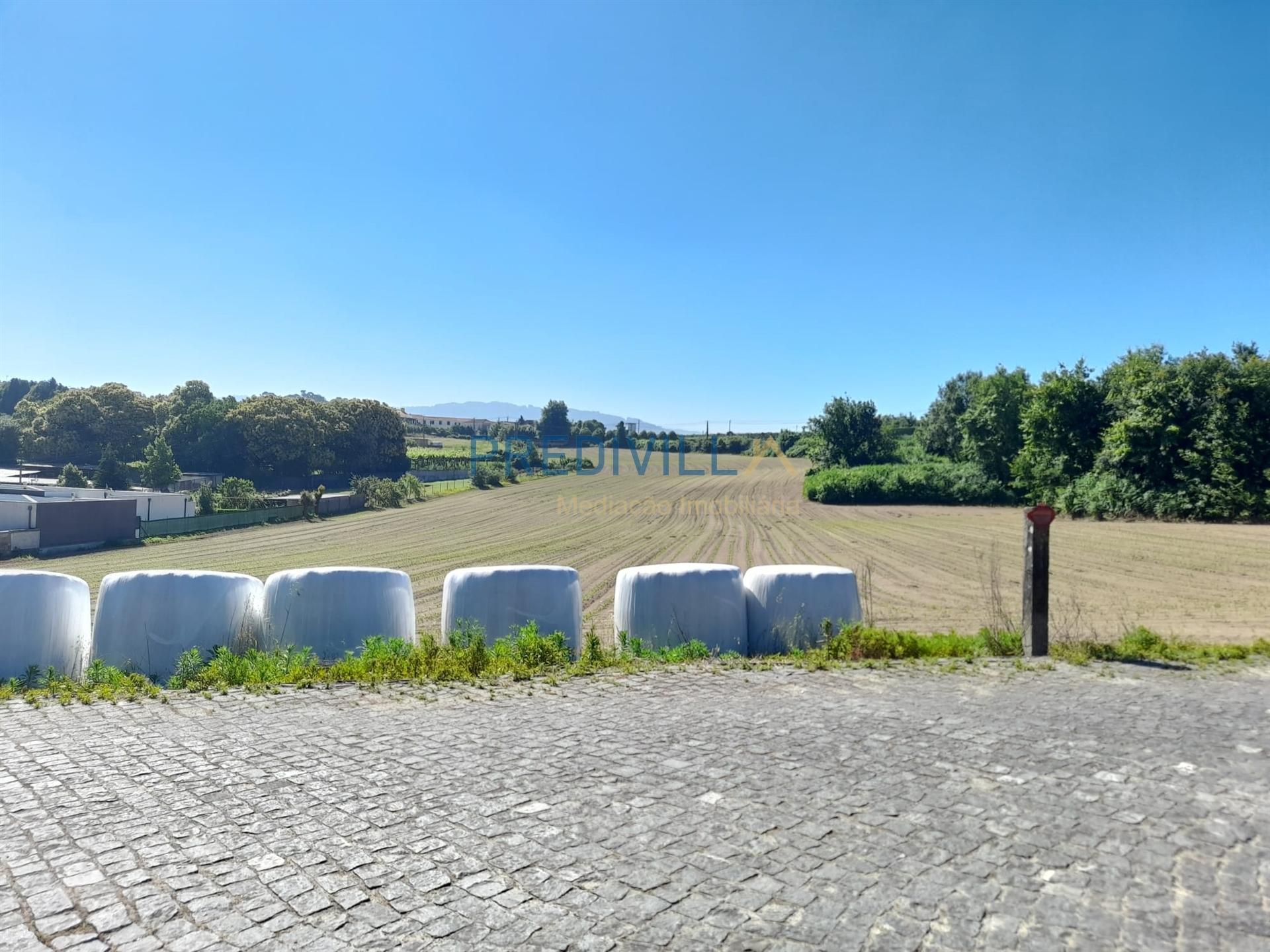 Terreno Misto  Venda em Areias, Sequeiró, Lama e Palmeira,Santo Tirso