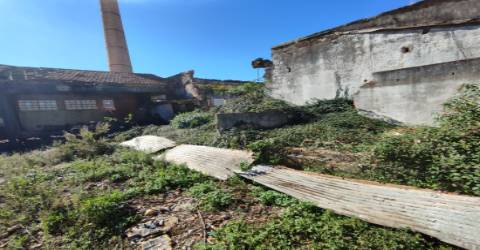 Terreno de 4.450 m2 com Fábrica e Moradia em Ruínas em Oliveira de Azeméis