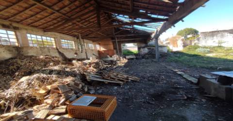 Terreno de 4.450 m2 com Fábrica e Moradia em Ruínas em Oliveira de Azeméis