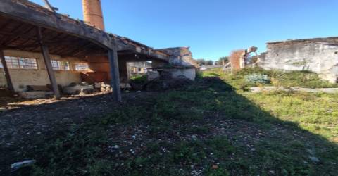 Terreno de 4.450 m2 com Fábrica e Moradia em Ruínas em Oliveira de Azeméis