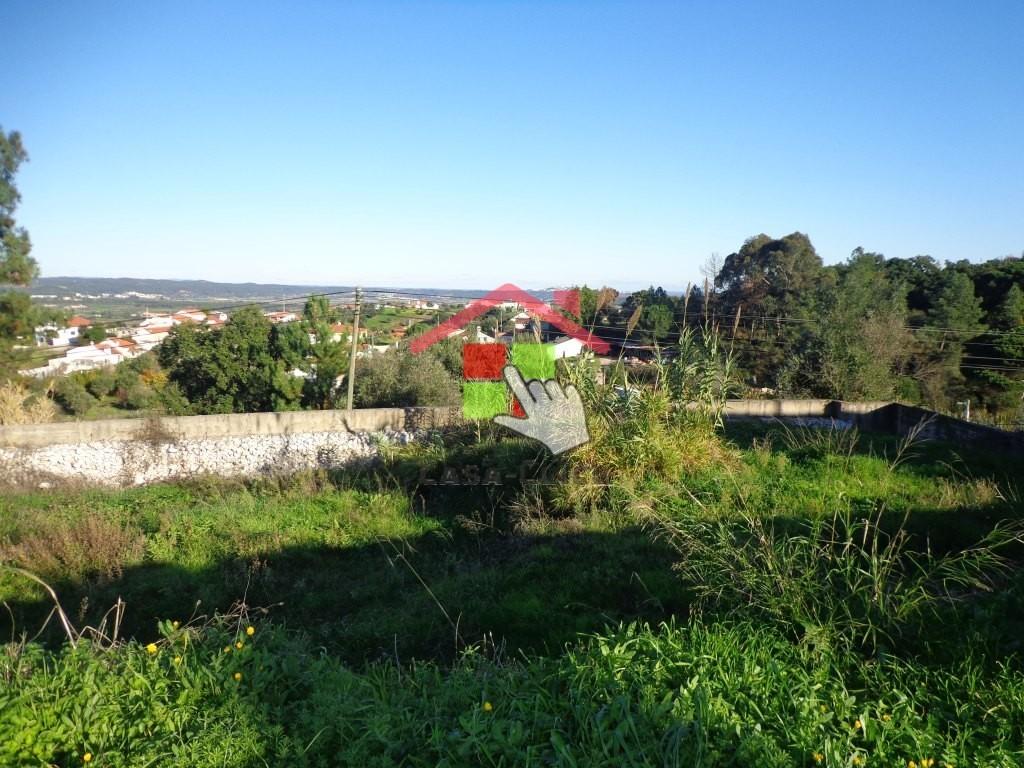 Terreno T0 Venda em Santa Margarida da Coutada,Constância