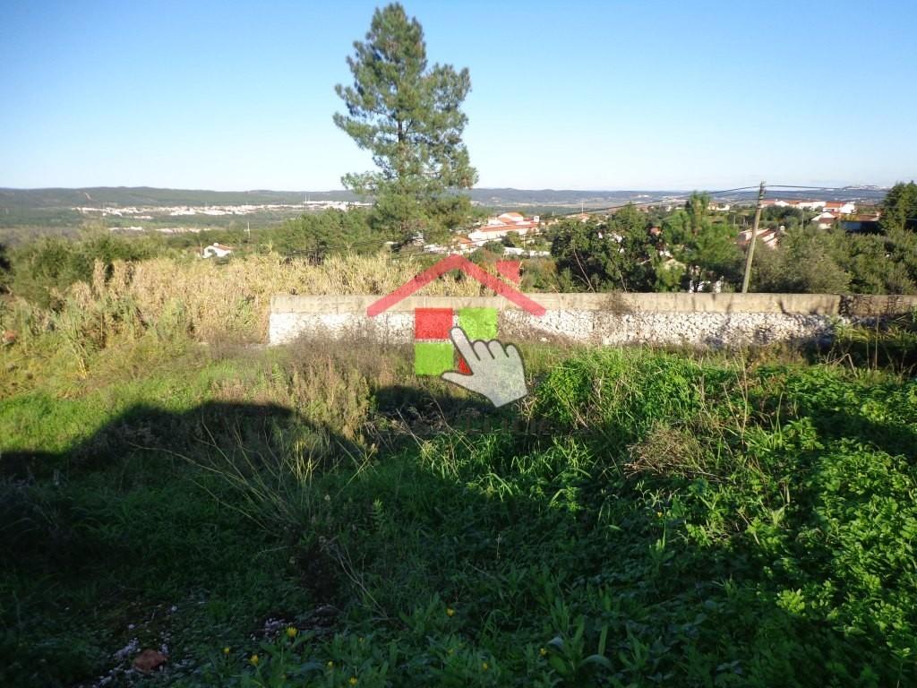 Terreno T0 Venda em Santa Margarida da Coutada,Constância