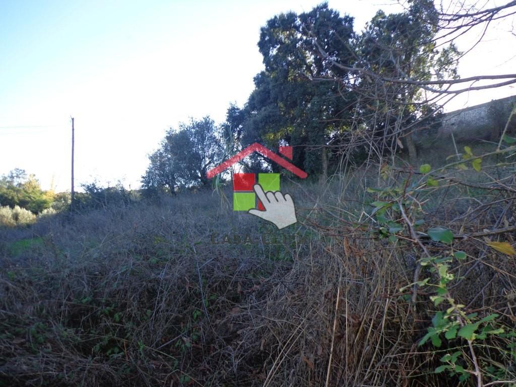 Terreno T0 Venda em Santa Margarida da Coutada,Constância