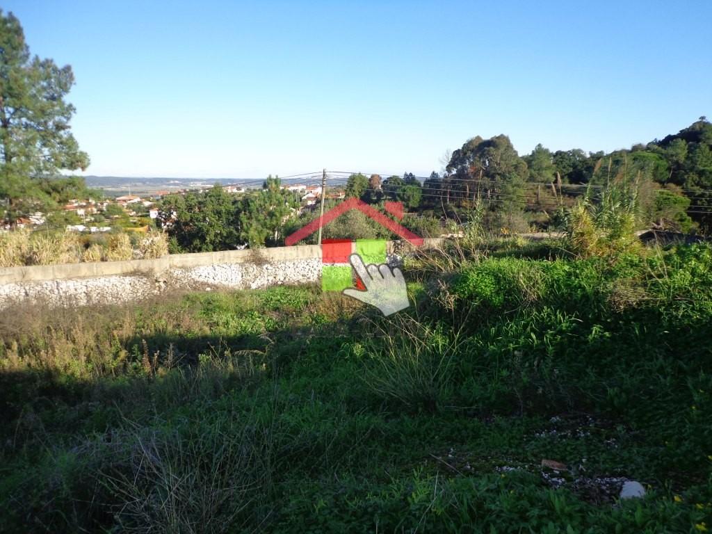 Terreno T0 Venda em Santa Margarida da Coutada,Constância