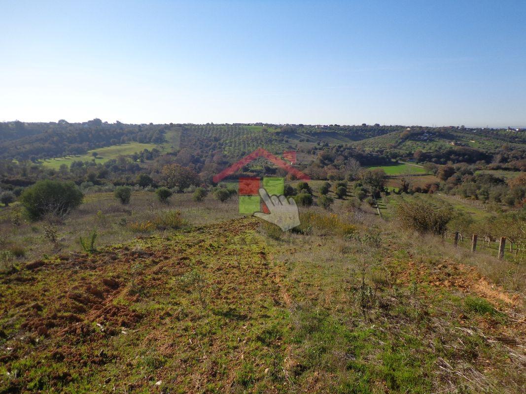 Terreno  Venda em Brogueira, Parceiros de Igreja e Alcorochel,Torres Novas