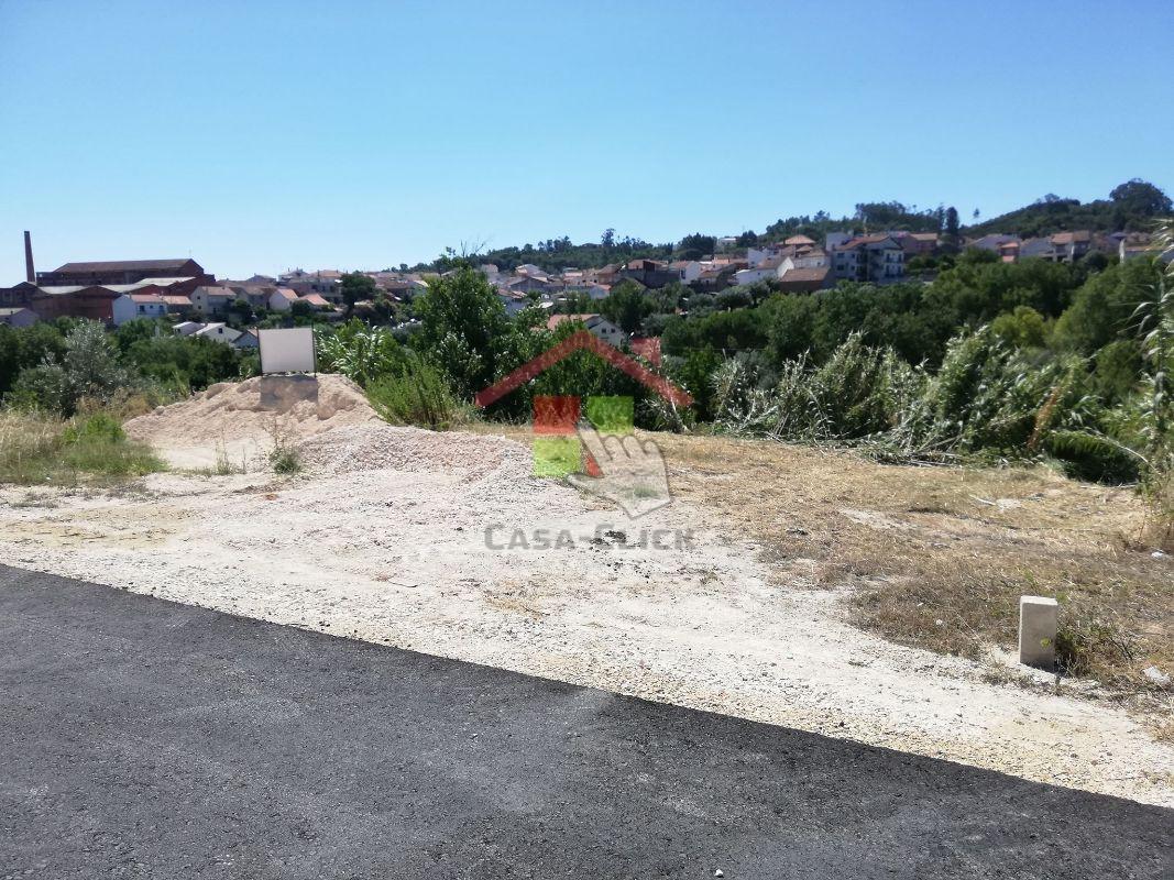 Terreno T3 Venda em Amiais de Baixo,Santarém