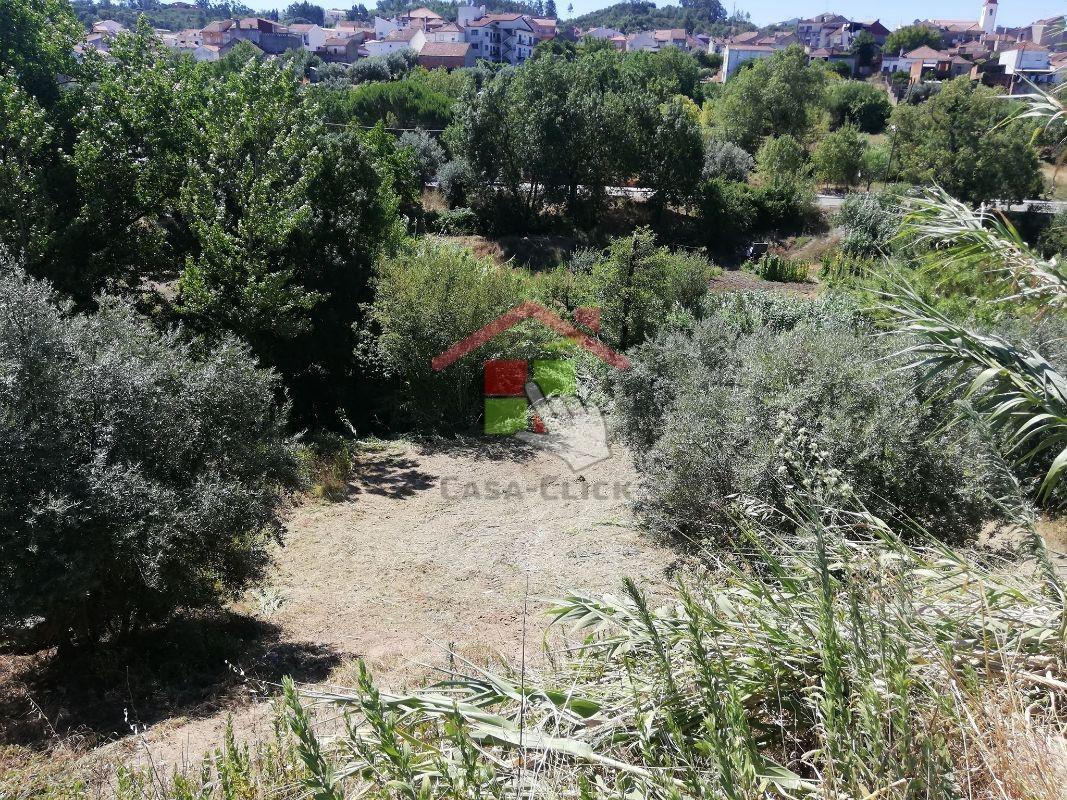 Terreno T3 Venda em Amiais de Baixo,Santarém